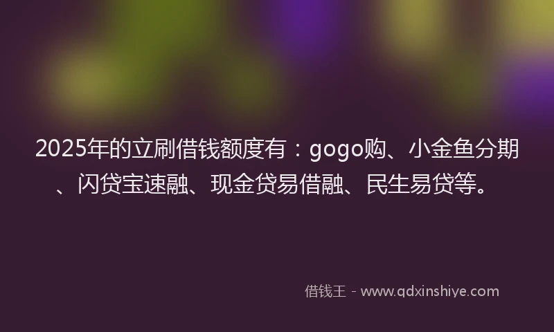 2025年的立刷借钱额度有:gogo购、小金鱼分期、闪贷宝速融、现金贷易借融、民生易贷等。
