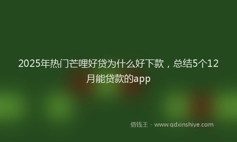2025年热门芒哩好贷为什么好下款,总结5个12月能贷款的app