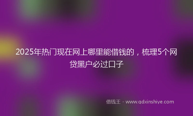 2025年热门现在网上哪里能借钱的，梳理5个网贷黑户必过口子