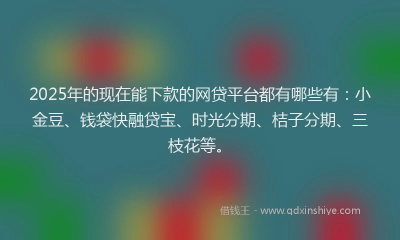 2025年的现在能下款的网贷平台都有哪些有：小金豆、钱袋快融贷宝、时光分期、桔子分期、三枝花等。