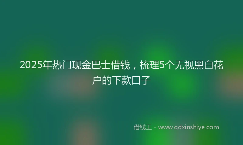 2025年热门现金巴士借钱,梳理5个无视黑白花户的下款口子