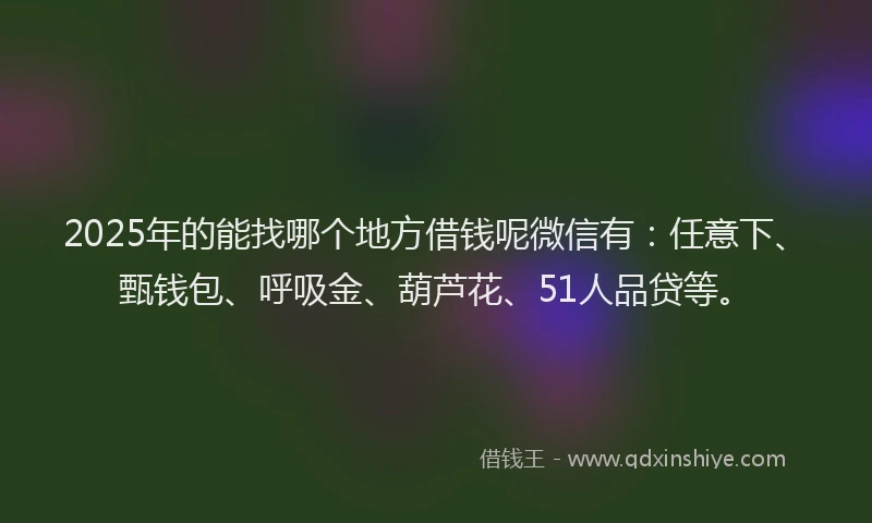 2025年的能找哪个地方借钱呢微信有:任意下、甄钱包、呼吸金、葫芦花、51人品贷等。