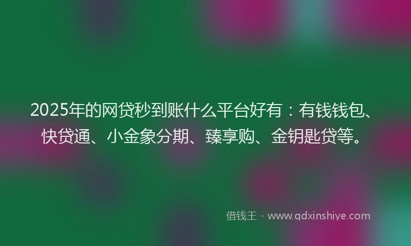 2025年的网贷秒到账什么平台好有：有钱钱包、快贷通、小金象分期、臻享购、金钥匙贷等。