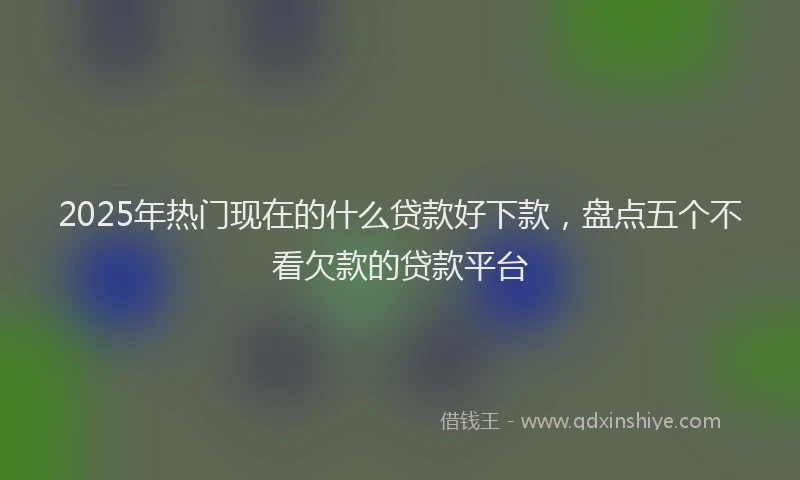 2025年热门现在的什么贷款好下款，盘点五个不看欠款的贷款平台
