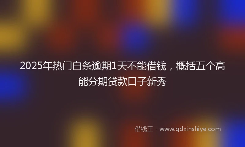 2025年热门白条逾期1天不能借钱，概括五个高能分期贷款口子新秀