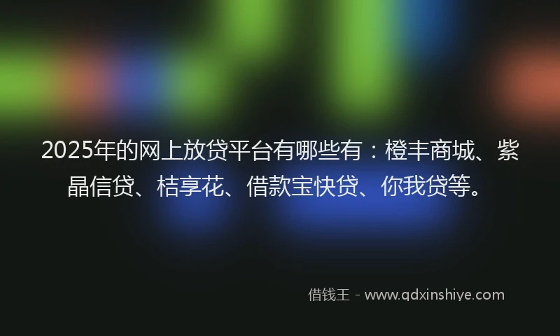 2025年的网上放贷平台有哪些有：橙丰商城、紫晶信贷、桔享花、借款宝快贷、你我贷等。