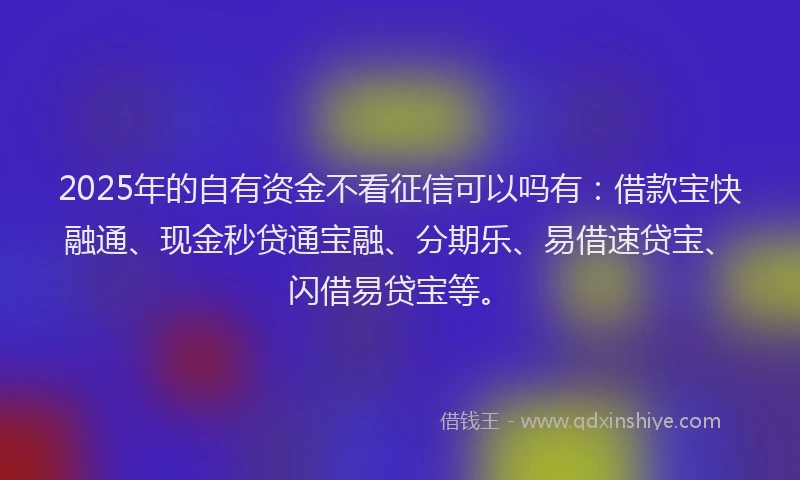 2025年的自有资金不看征信可以吗有：借款宝快融通、现金秒贷通宝融、分期乐、易借速贷宝、闪借易贷宝等。