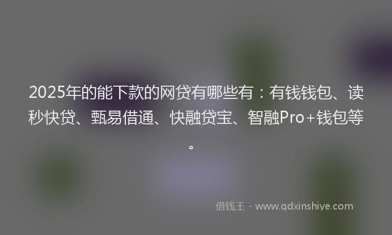 2025年的能下款的网贷有哪些有:有钱钱包、读秒快贷、甄易借通、快融贷宝、智融Pro+钱包等。