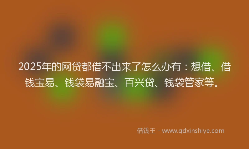 2025年的网贷都借不出来了怎么办有：想借、借钱宝易、钱袋易融宝、百兴贷、钱袋管家等。