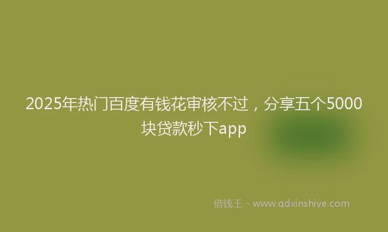 2025年热门百度有钱花审核不过，分享五个5000块贷款秒下app