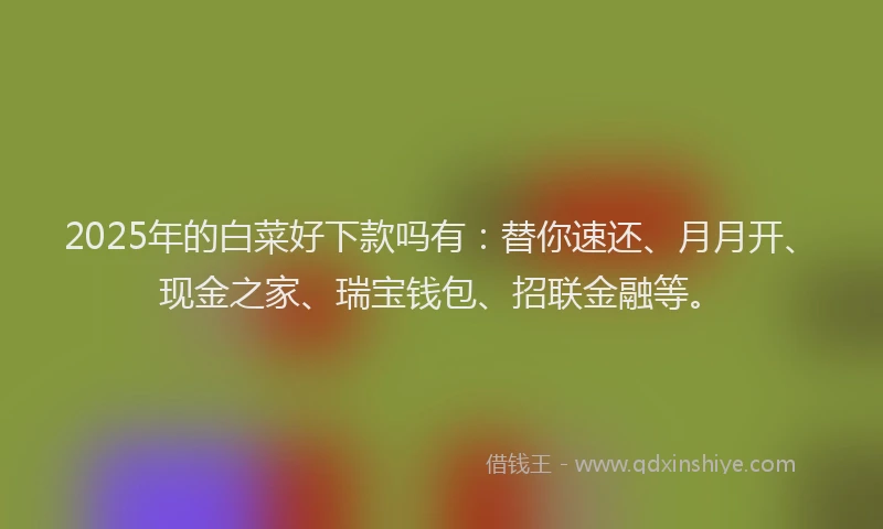 2025年的白菜好下款吗有：替你速还、月月开、现金之家、瑞宝钱包、招联金融等。