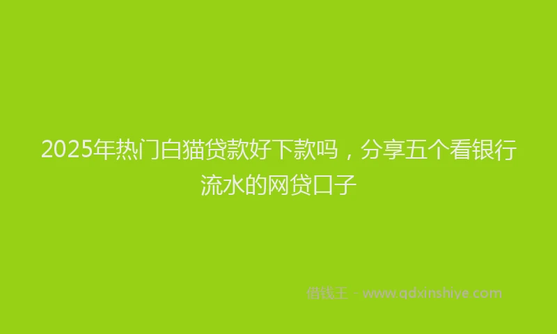 2025年热门白猫贷款好下款吗，分享五个看银行流水的网贷口子