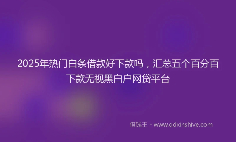 2025年热门白条借款好下款吗，汇总五个百分百下款无视黑白户网贷平台