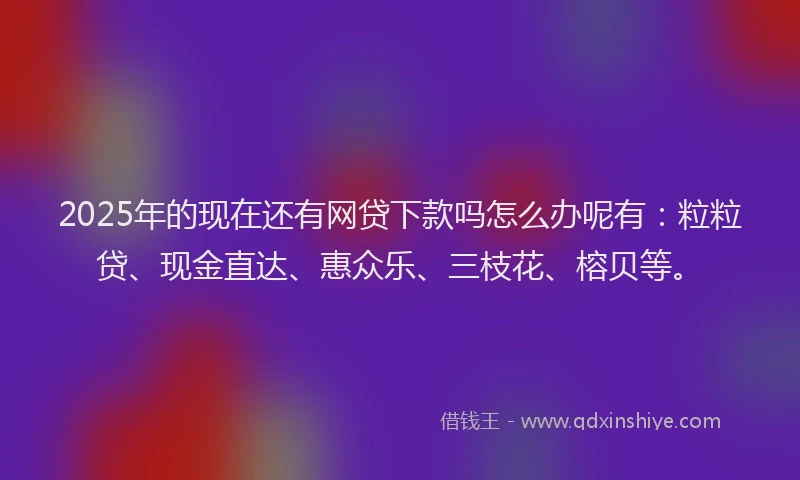 2025年的现在还有网贷下款吗怎么办呢有：粒粒贷、现金直达、惠众乐、三枝花、榕贝等。