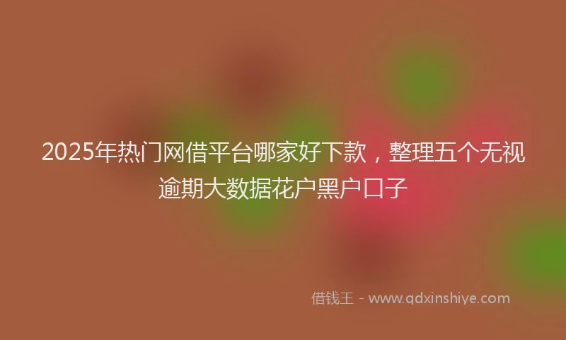 2025年热门网借平台哪家好下款,整理五个无视逾期大数据花户黑户口子