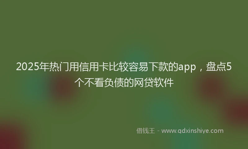 2025年热门用信用卡比较容易下款的app，盘点5个不看负债的网贷软件