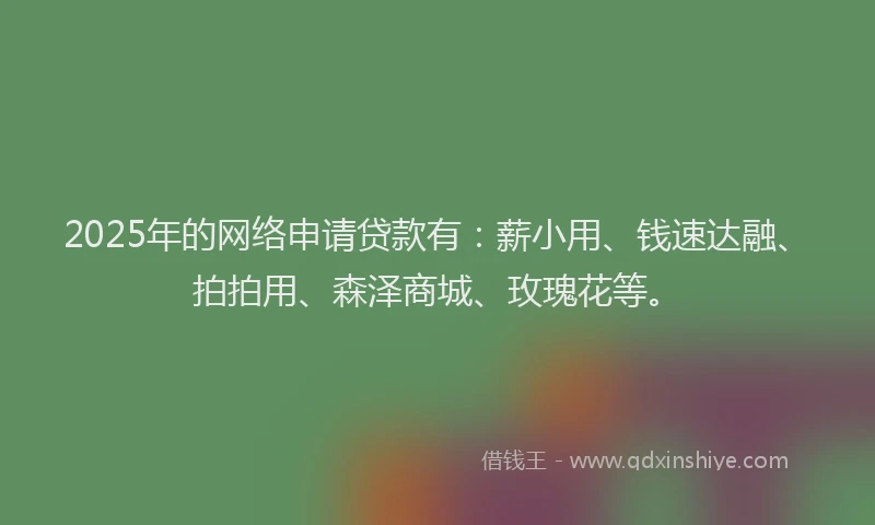 2025年的网络申请贷款有：薪小用、钱速达融、拍拍用、森泽商城、玫瑰花等。