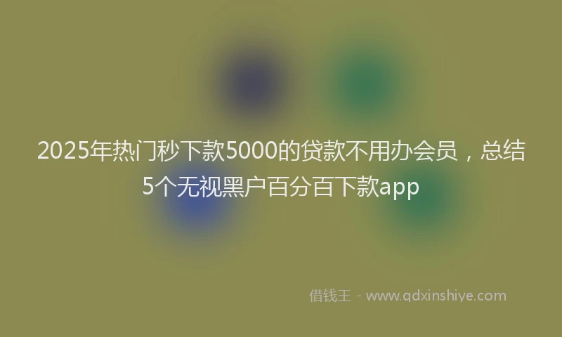 2025年热门秒下款5000的贷款不用办会员,总结5个无视黑户百分百下款app