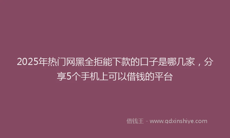 2025年热门网黑全拒能下款的口子是哪几家，分享5个手机上可以借钱的平台