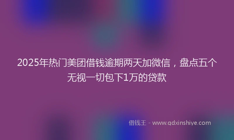 2025年热门美团借钱逾期两天加微信,盘点五个无视一切包下1万的贷款