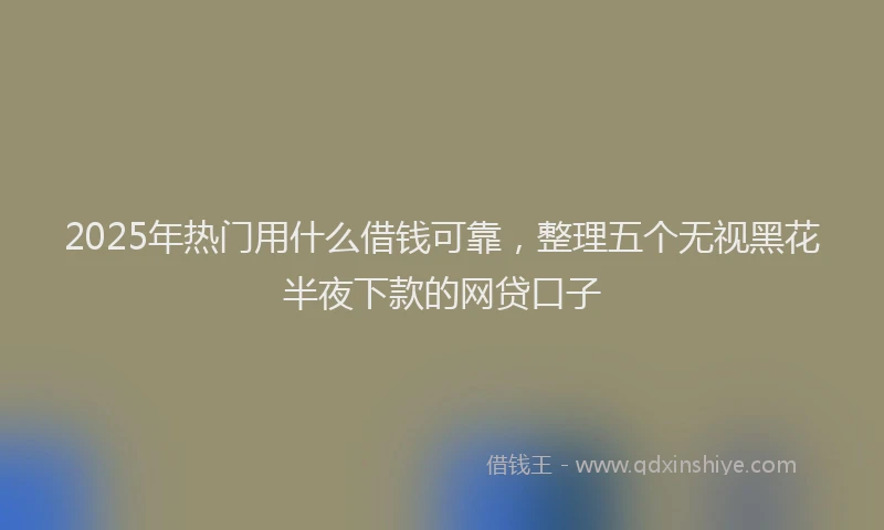 2025年热门用什么借钱可靠,整理五个无视黑花半夜下款的网贷口子