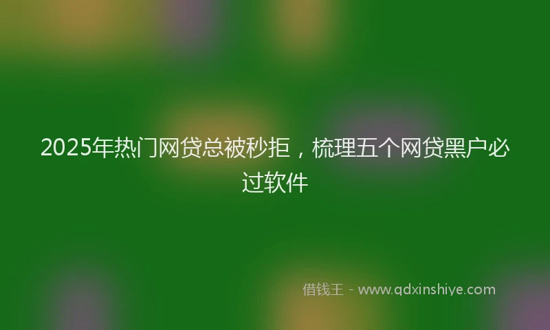 2025年热门网贷总被秒拒，梳理五个网贷黑户必过软件