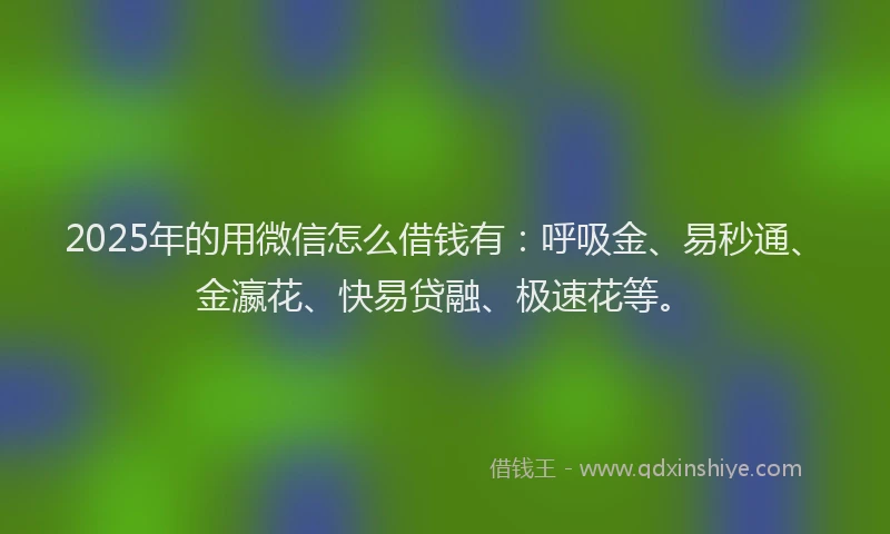 2025年的用微信怎么借钱有：呼吸金、易秒通、金瀛花、快易贷融、极速花等。