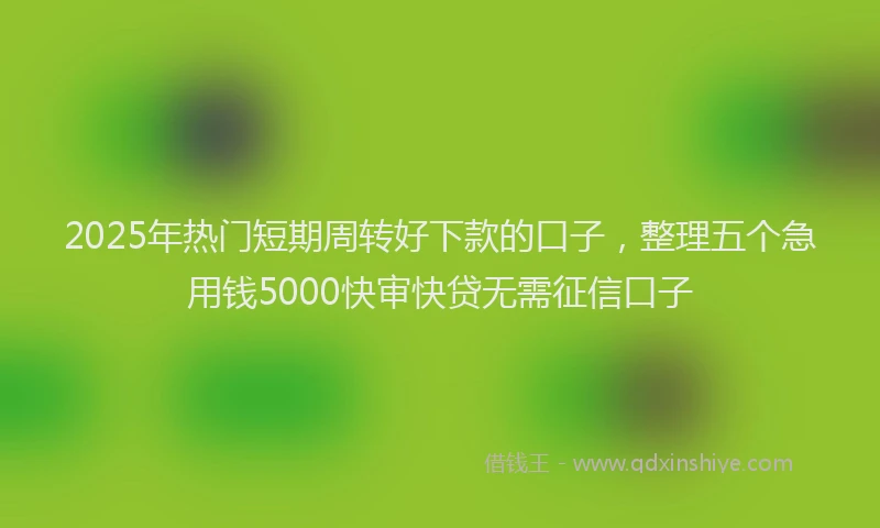 2025年热门短期周转好下款的口子,整理五个急用钱5000快审快贷无需征信口子