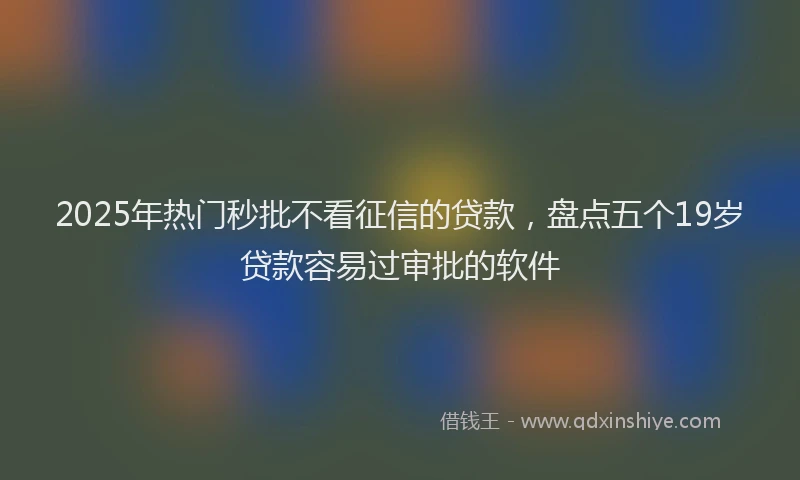 2025年热门秒批不看征信的贷款，盘点五个19岁贷款容易过审批的软件