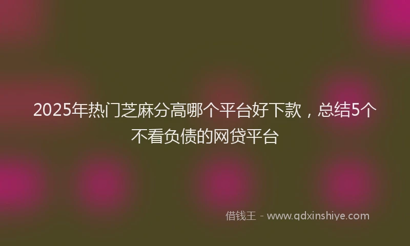 2025年热门芝麻分高哪个平台好下款，总结5个不看负债的网贷平台