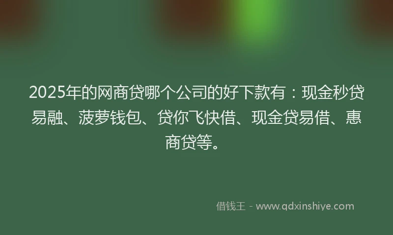 2025年的网商贷哪个公司的好下款有：现金秒贷易融、菠萝钱包、贷你飞快借、现金贷易借、惠商贷等。