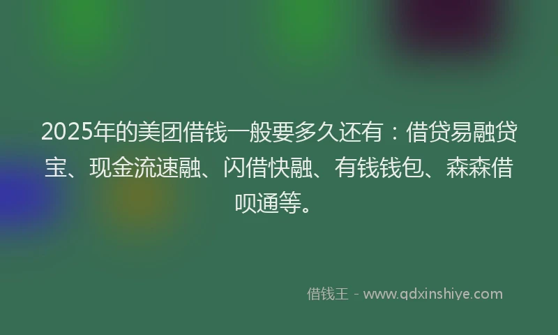 2025年的美团借钱一般要多久还有：借贷易融贷宝、现金流速融、闪借快融、有钱钱包、森森借呗通等。