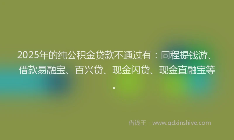 2025年的纯公积金贷款不通过有：同程提钱游、借款易融宝、百兴贷、现金闪贷、现金直融宝等。