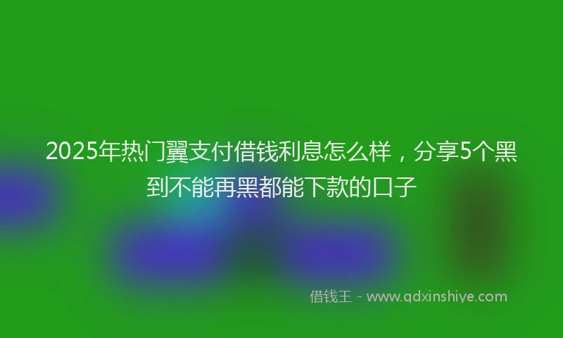 2025年热门翼支付借钱利息怎么样，分享5个黑到不能再黑都能下款的口子