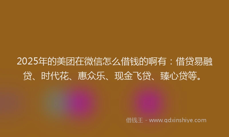 2025年的美团在微信怎么借钱的啊有：借贷易融贷、时代花、惠众乐、现金飞贷、臻心贷等。