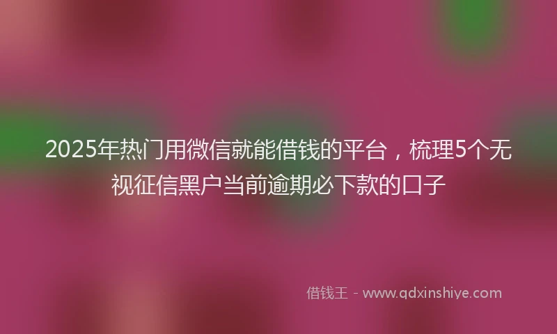 2025年热门用微信就能借钱的平台,梳理5个无视征信黑户当前逾期必下款的口子