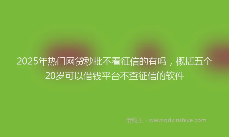 2025年热门网贷秒批不看征信的有吗，概括五个20岁可以借钱平台不查征信的软件