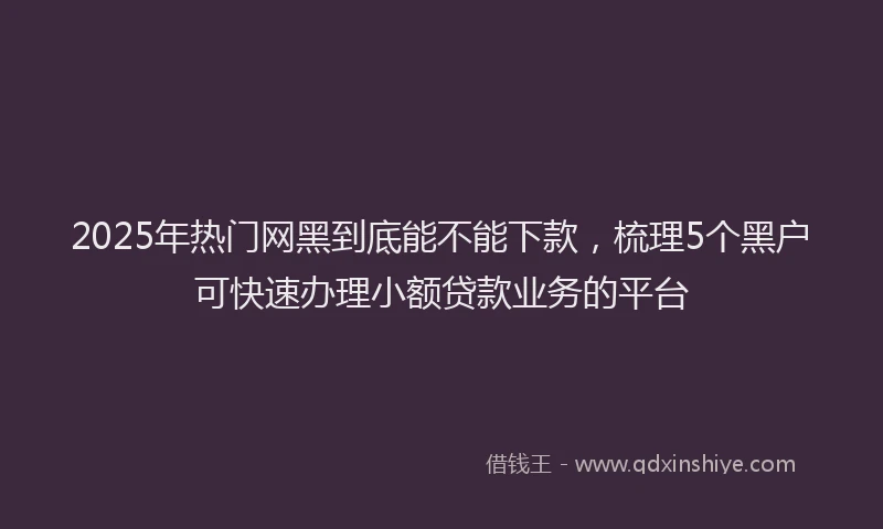 2025年热门网黑到底能不能下款，梳理5个黑户可快速办理小额贷款业务的平台