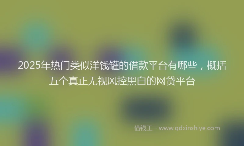 2025年热门类似洋钱罐的借款平台有哪些，概括五个真正无视风控黑白的网贷平台
