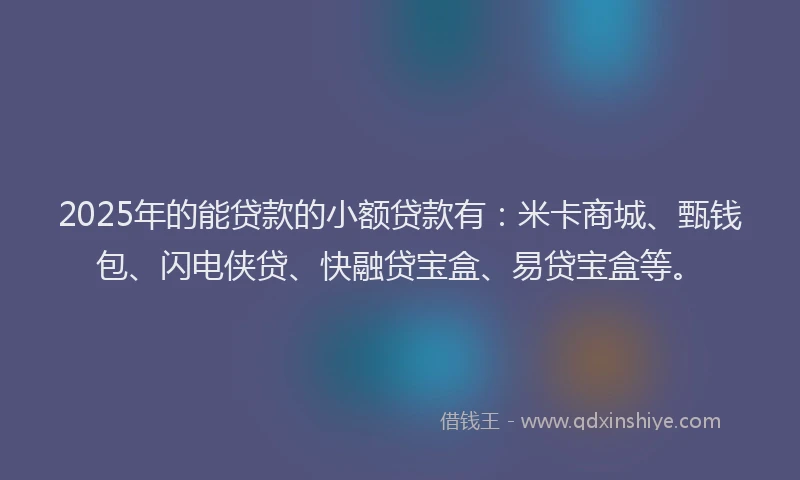 2025年的能贷款的小额贷款有：米卡商城、甄钱包、闪电侠贷、快融贷宝盒、易贷宝盒等。
