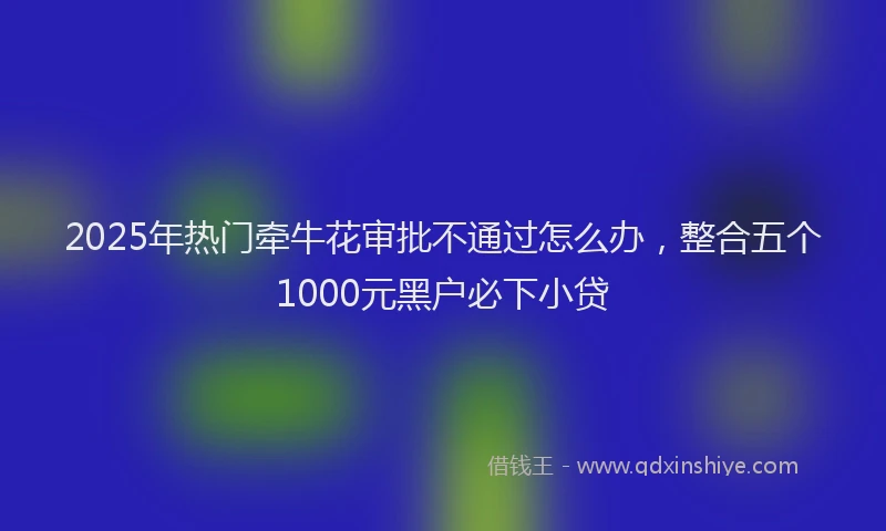 2025年热门牵牛花审批不通过怎么办，整合五个1000元黑户必下小贷