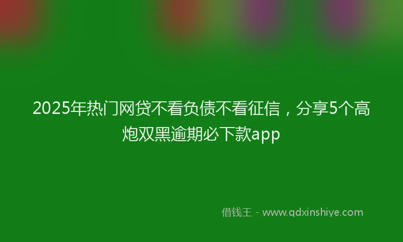 2025年热门网贷不看负债不看征信,分享5个高炮双黑逾期必下款app