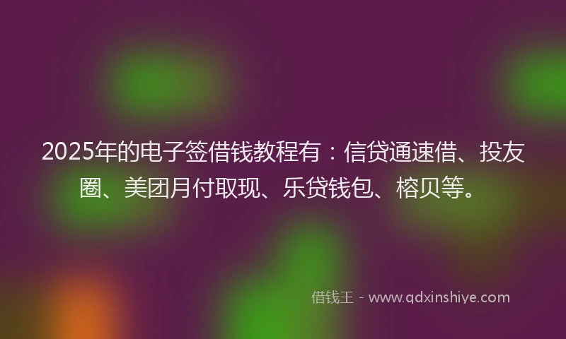2025年的电子签借钱教程有：信贷通速借、投友圈、美团月付取现、乐贷钱包、榕贝等。