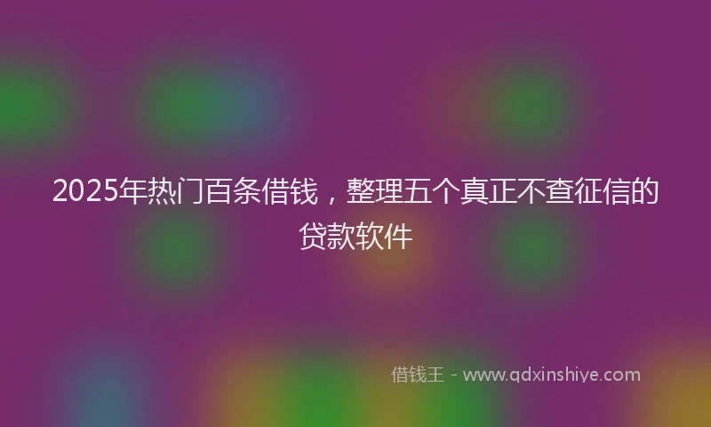 2025年热门百条借钱，整理五个真正不查征信的贷款软件