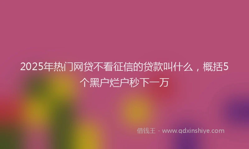 2025年热门网贷不看征信的贷款叫什么，概括5个黑户烂户秒下一万