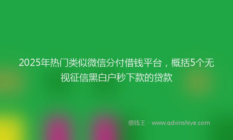 2025年热门类似微信分付借钱平台，概括5个无视征信黑白户秒下款的贷款