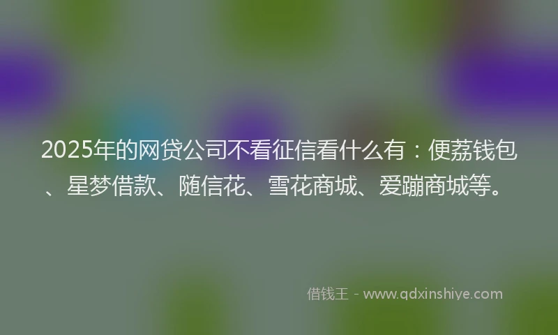 2025年的网贷公司不看征信看什么有：便荔钱包、星梦借款、随信花、雪花商城、爱蹦商城等。