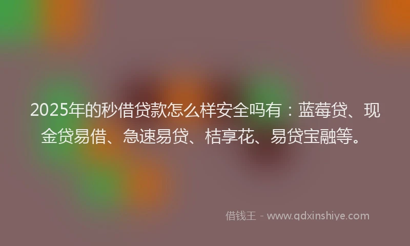 2025年的秒借贷款怎么样安全吗有:蓝莓贷、现金贷易借、急速易贷、桔享花、易贷宝融等。