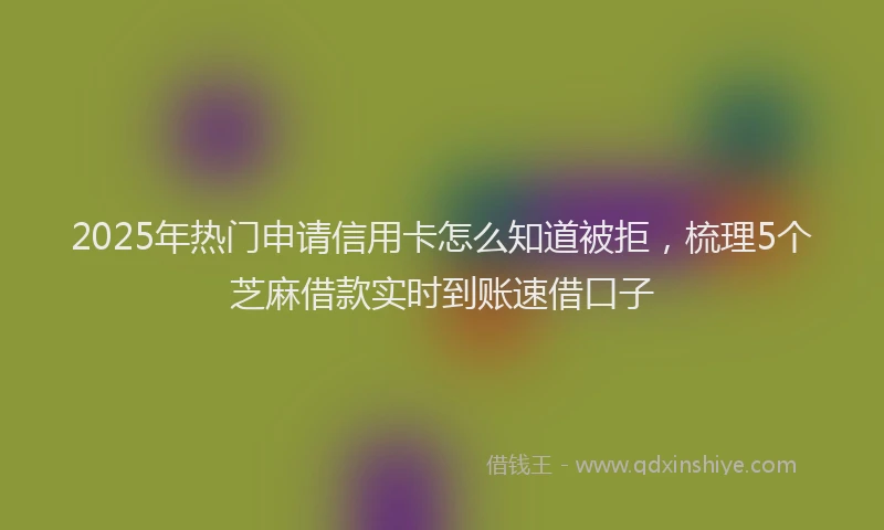2025年热门申请信用卡怎么知道被拒，梳理5个芝麻借款实时到账速借口子