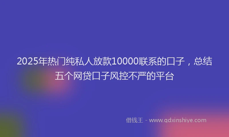 2025年热门纯私人放款10000联系的口子，总结五个网贷口子风控不严的平台